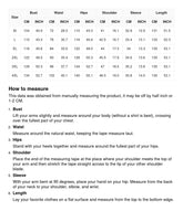 Plus Size Mesh Embroidery Party Dress Sai Feel